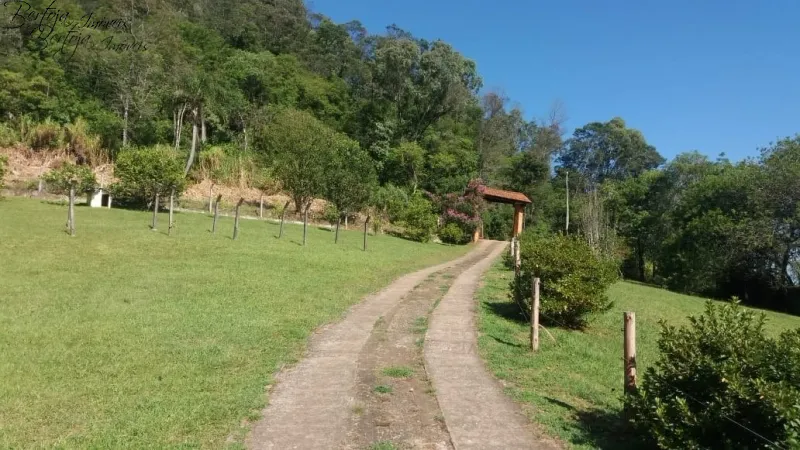 SÍTIO COM CASA E LICENÇA PARA CULTIVO DE MORANGOS: 1ª foto da galeria de imagens do imóvel