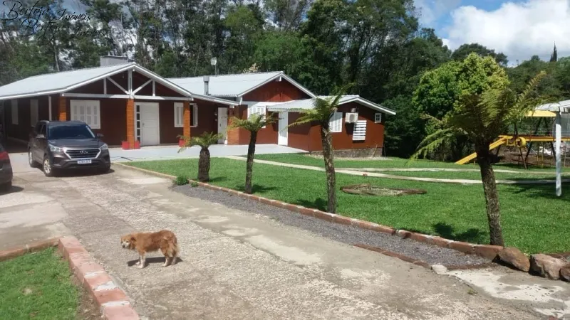SÍTIO COM CASA E LICENÇA PARA CULTIVO DE MORANGOS: 9ª foto da galeria de imagens do imóvel