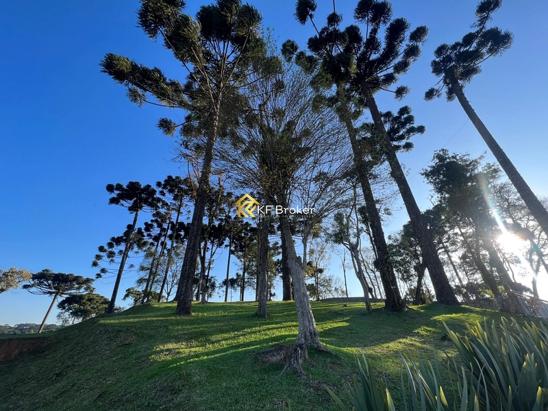 Terreno/Lote em Condomínio Fechado à venda - Roça Grande em Colombo/PR: 8ª foto da galeria de imagens do imóvel