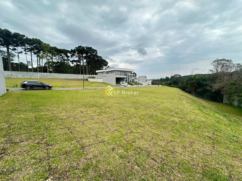 Terreno à Venda – Colônia Faria, Colombo/PR: 6ª foto da galeria de imagens do imóvel