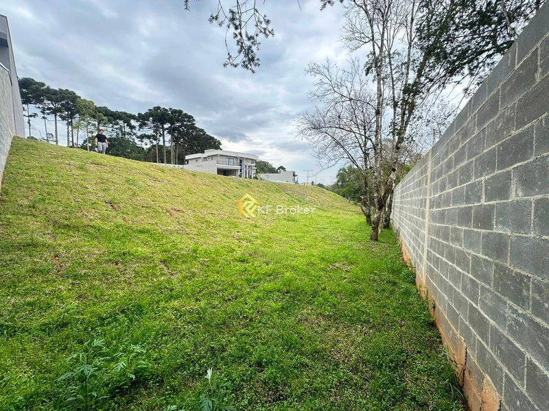 Terreno à Venda – Colônia Faria, Colombo/PR: 7ª foto da galeria de imagens do imóvel
