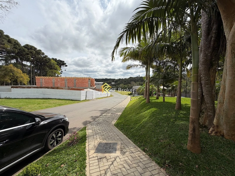 Terreno à Venda – Colônia Faria, Colombo/PR: 10ª foto da galeria de imagens do imóvel