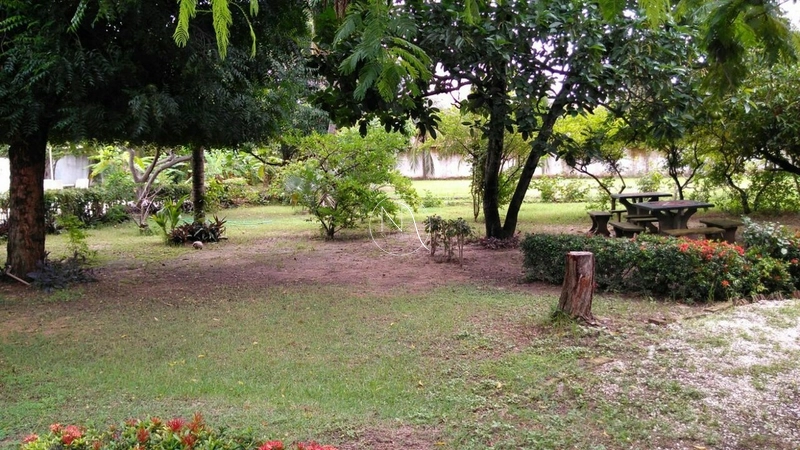 Lindíssima chácara a 500m² da Av. Osório de Paiva: 5ª foto da galeria de imagens do imóvel
