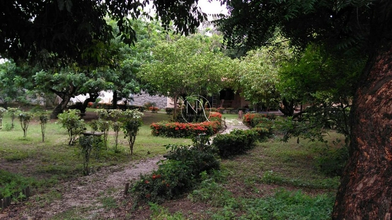 Lindíssima chácara a 500m² da Av. Osório de Paiva: 3ª foto da galeria de imagens do imóvel