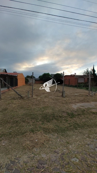 Terreno á venda em Xangri-lá: 3ª foto da galeria de imagens do imóvel
