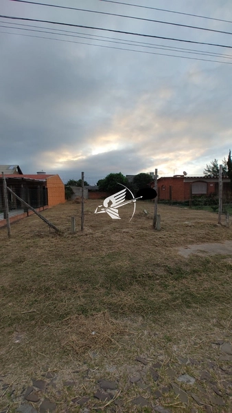 Terreno á venda em Xangri-lá: 4ª foto da galeria de imagens do imóvel