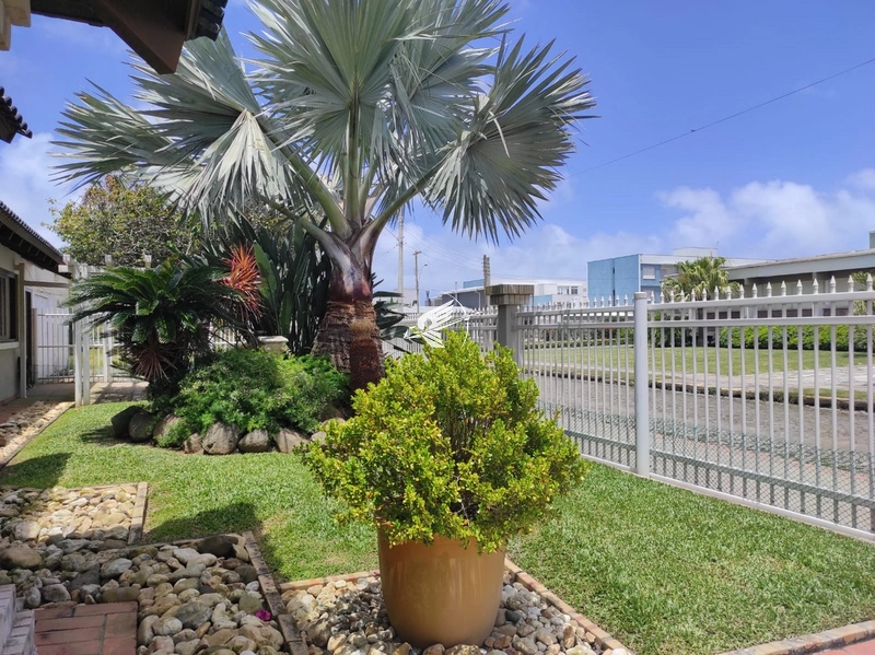 Casa à venda em Atlântida: 10ª foto da galeria de imagens do imóvel