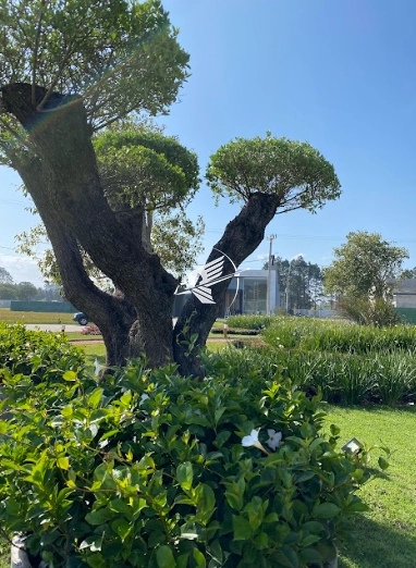 Casa à venda Condomínio Terrasul: 60ª foto da galeria de imagens do imóvel
