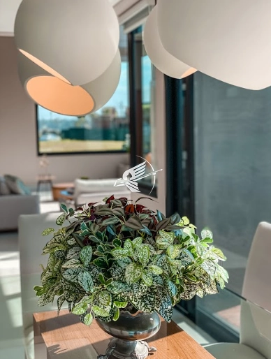 Casa à venda Condomínio Terrasul: 54ª foto da galeria de imagens do imóvel
