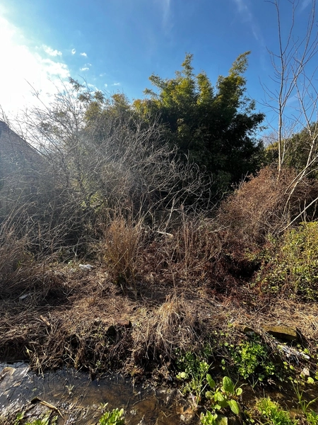 : 3ª foto da galeria de imagens do imóvel