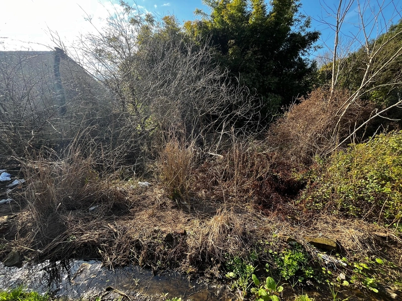 : 1ª foto da galeria de imagens do imóvel