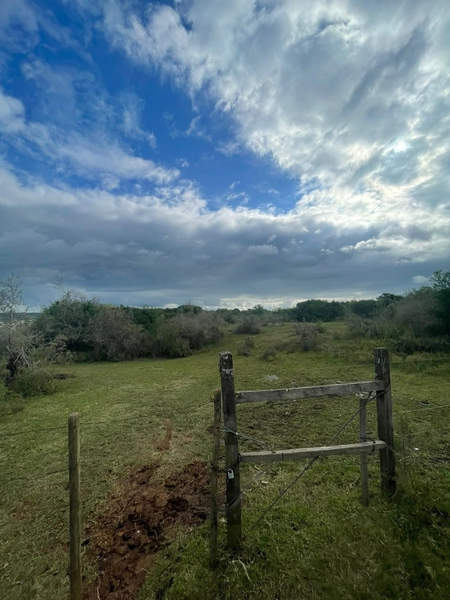 : 6ª foto da galeria de imagens do imóvel