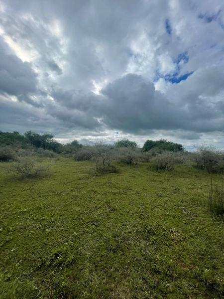 : 9ª foto da galeria de imagens do imóvel