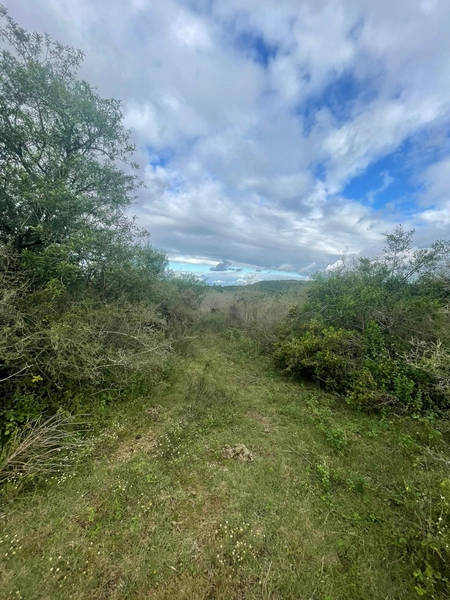 : 3ª foto da galeria de imagens do imóvel