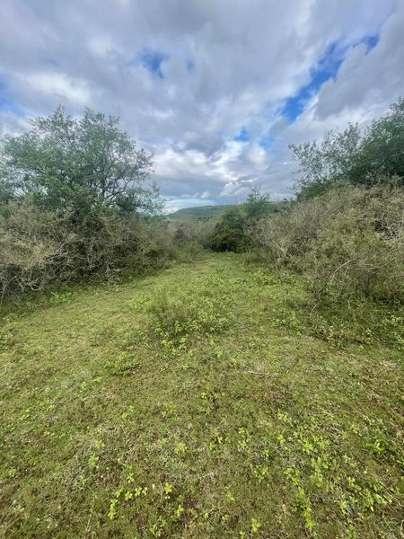 : 8ª foto da galeria de imagens do imóvel