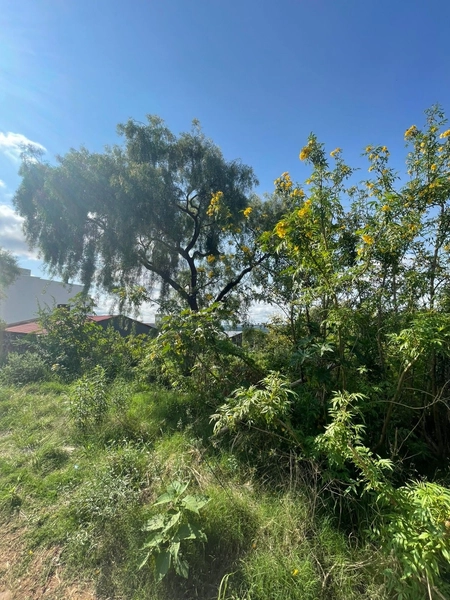 : 5ª foto da galeria de imagens do imóvel