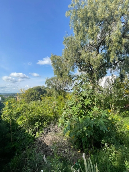 : 3ª foto da galeria de imagens do imóvel