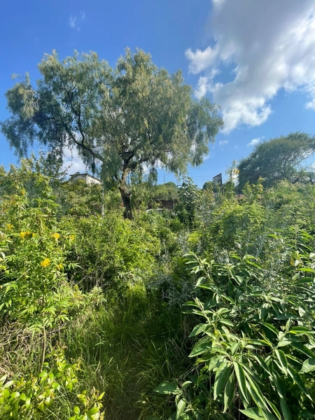 : 2ª foto da galeria de imagens do imóvel