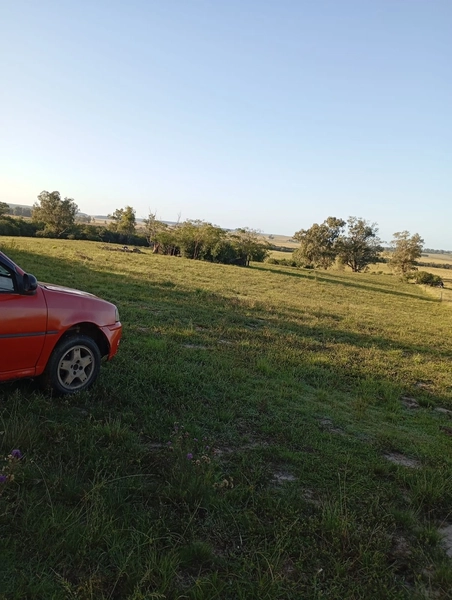 12 hectares: 2ª foto da galeria de imagens do imóvel