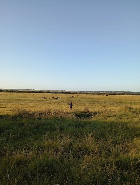 12 hectares: 6ª foto da galeria de imagens do imóvel