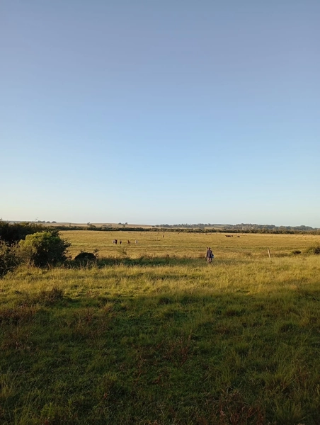 12 hectares: 5ª foto da galeria de imagens do imóvel