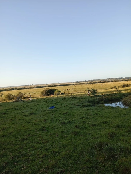 12 hectares: 4ª foto da galeria de imagens do imóvel