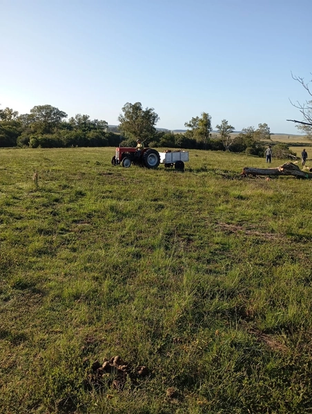 12 hectares: 3ª foto da galeria de imagens do imóvel