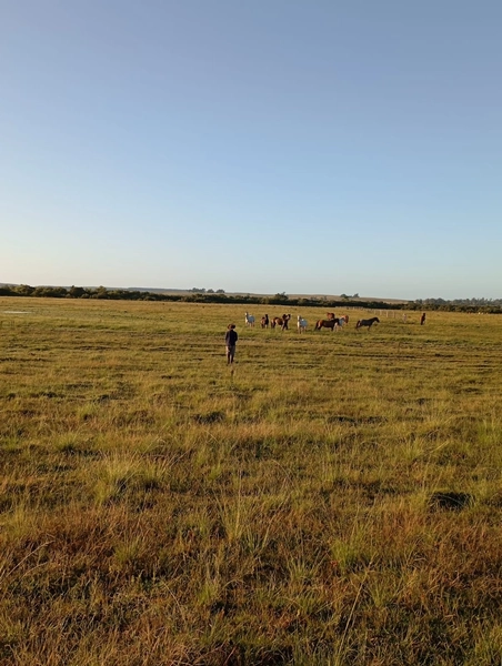 12 hectares: 8ª foto da galeria de imagens do imóvel