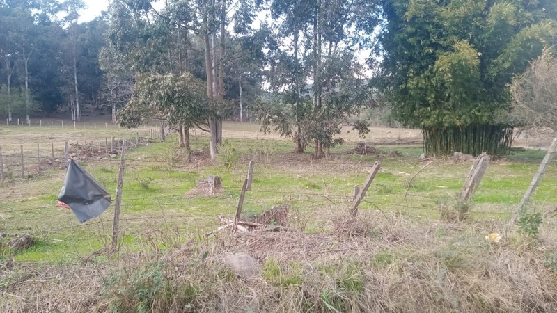 : 5ª foto da galeria de imagens do imóvel