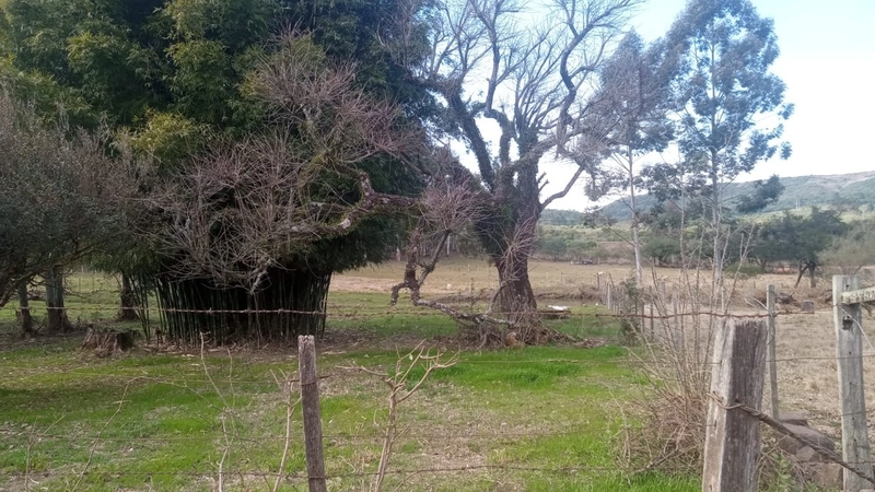 : 2ª foto da galeria de imagens do imóvel