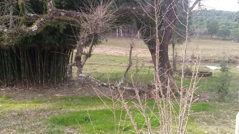 : 3ª foto da galeria de imagens do imóvel