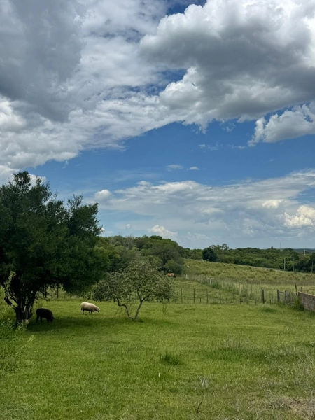 : 1ª foto da galeria de imagens do imóvel