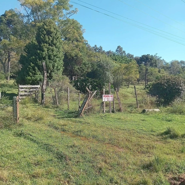 1,16 hectares com casa, galpão e poço artesiano: 7ª foto da galeria de imagens do imóvel