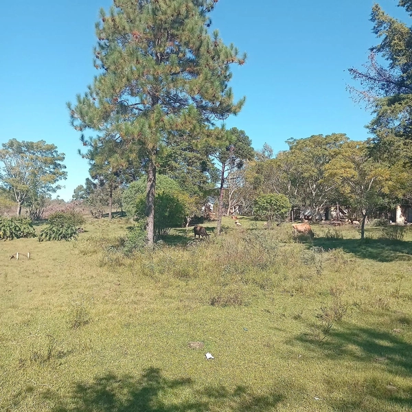 1,16 hectares com casa, galpão e poço artesiano: 1ª foto da galeria de imagens do imóvel