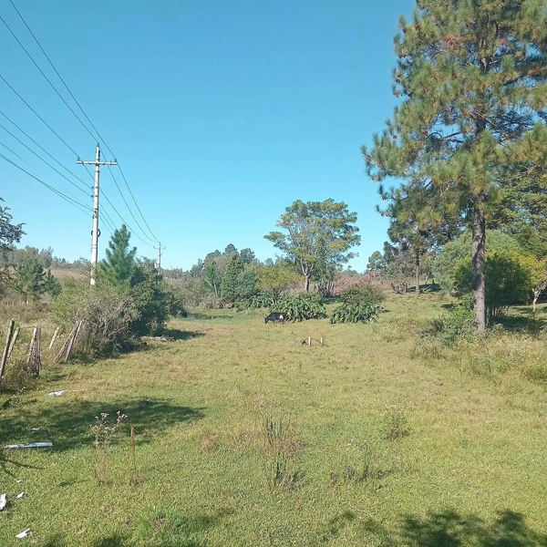 1,16 hectares com casa, galpão e poço artesiano: 2ª foto da galeria de imagens do imóvel