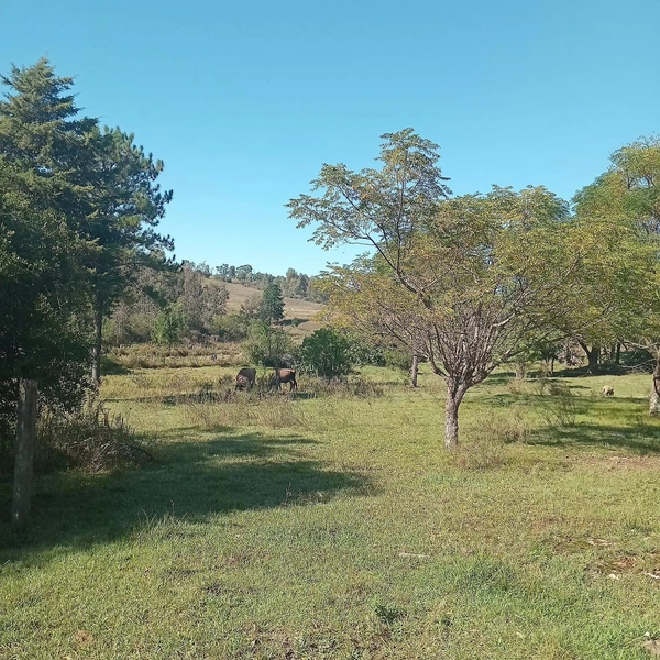1,16 hectares com casa, galpão e poço artesiano: 4ª foto da galeria de imagens do imóvel