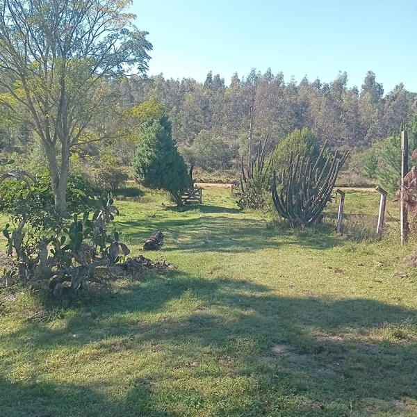 1,16 hectares com casa, galpão e poço artesiano: 8ª foto da galeria de imagens do imóvel