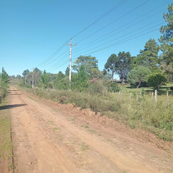 1,16 hectares com casa, galpão e poço artesiano: 11ª foto da galeria de imagens do imóvel