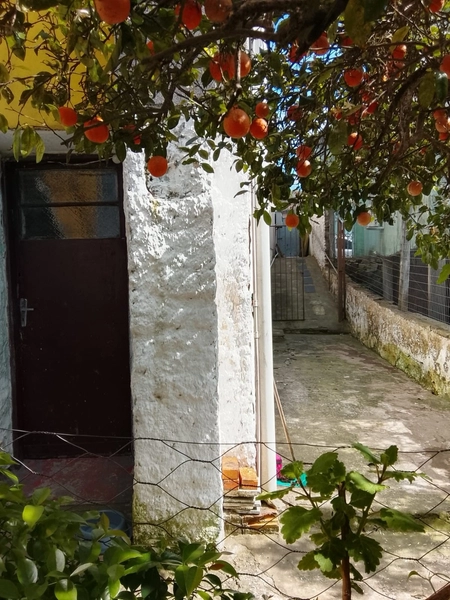 : 27ª foto da galeria de imagens do imóvel