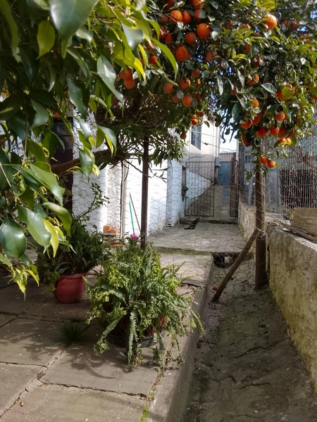 : 31ª foto da galeria de imagens do imóvel