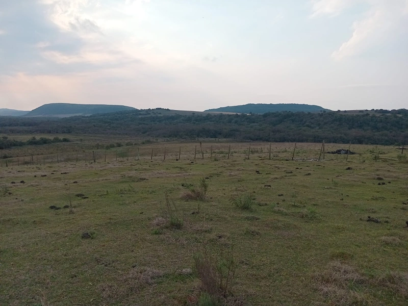 8,5 hectares 20km da cidade: 5ª foto da galeria de imagens do imóvel