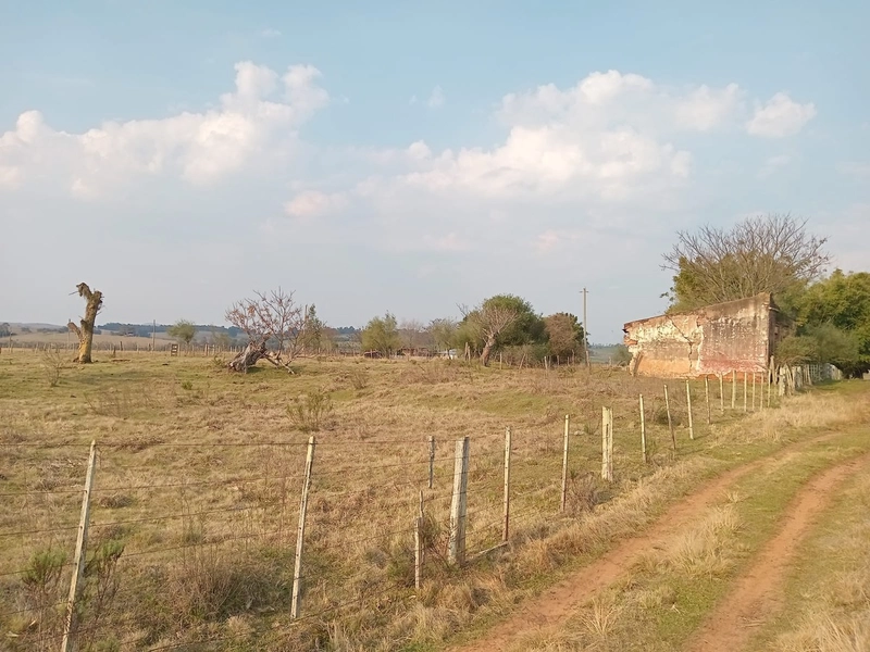 8,5 hectares 20km da cidade: 7ª foto da galeria de imagens do imóvel