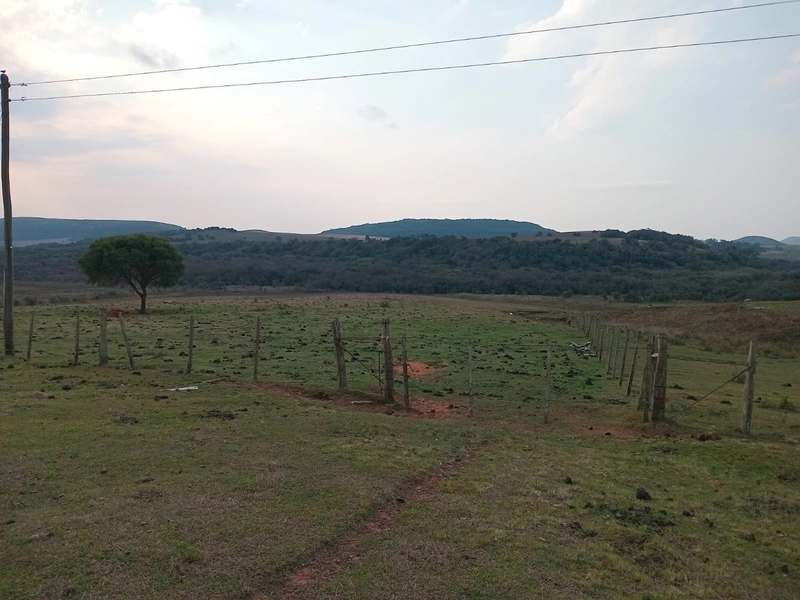 8,5 hectares 20km da cidade: 4ª foto da galeria de imagens do imóvel