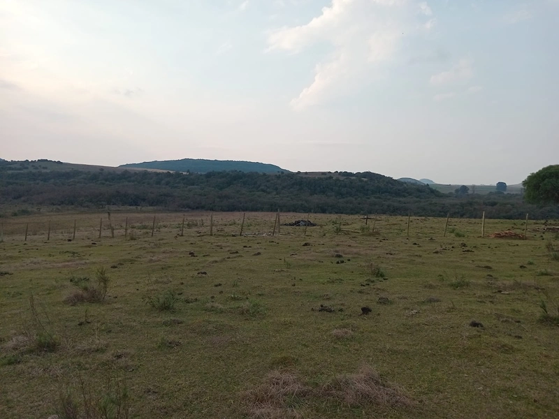 8,5 hectares 20km da cidade: 8ª foto da galeria de imagens do imóvel