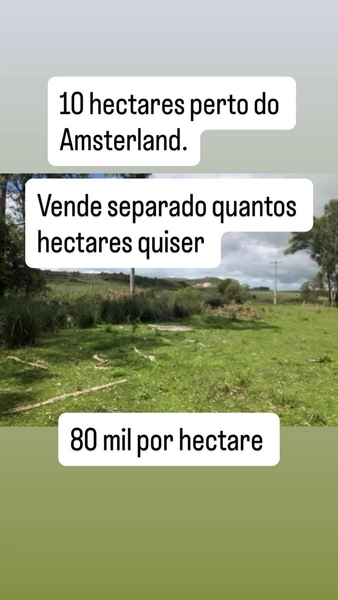 10 hectares vende separado quantos hectares quiser: 1ª foto da galeria de imagens do imóvel