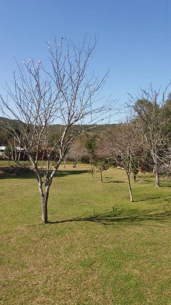 : 2ª foto da galeria de imagens do imóvel