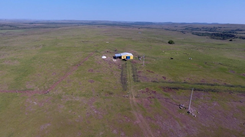 210 hectares de terra para pecuária: 2ª foto da galeria de imagens do imóvel