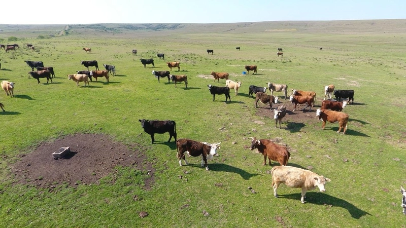 210 hectares de terra para pecuária