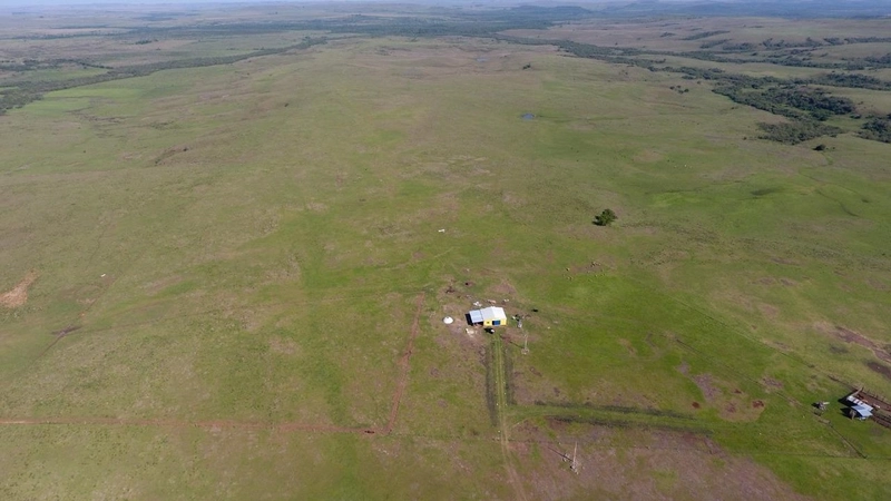 210 hectares de terra para pecuária: 4ª foto da galeria de imagens do imóvel