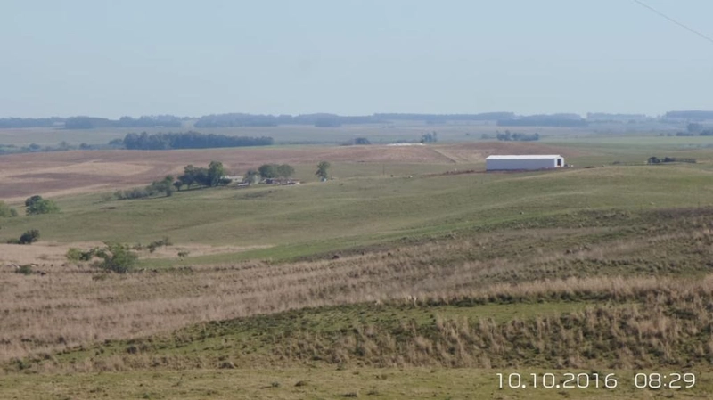 1300 hectares de terra para soja: 2ª foto da galeria de imagens do imóvel